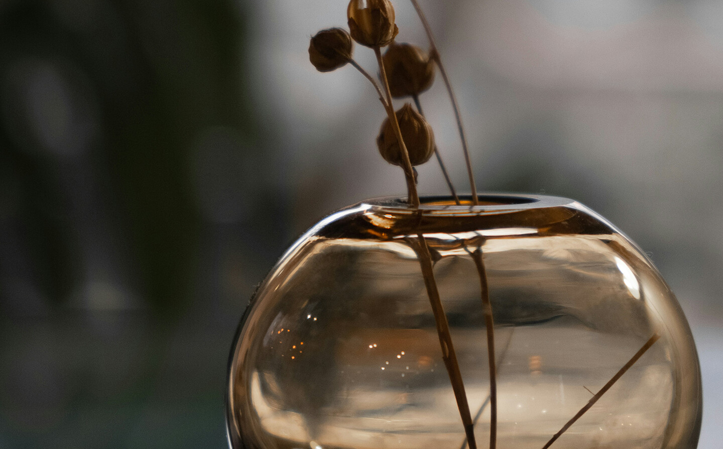 Glasvase mit getrockneten Blüten